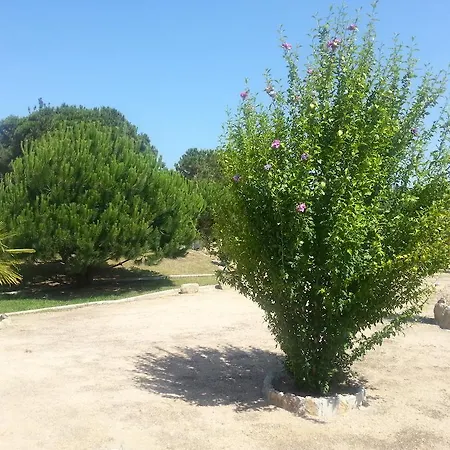 Pinares Lloret de Mar