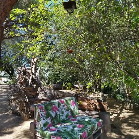 Pinares 2* يوريت دي مار