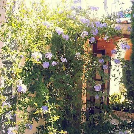 بيت ضيافة Pinares يوريت دي مار