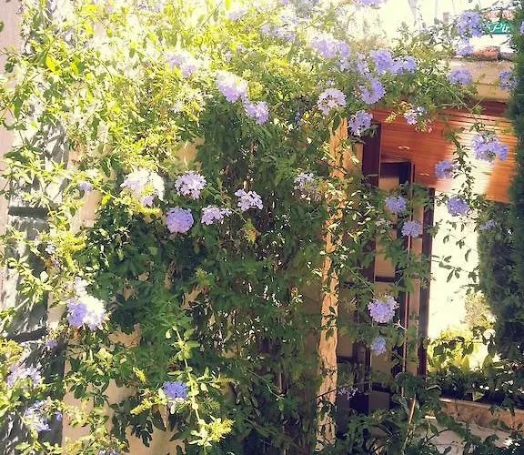 بيت ضيافة Pinares يوريت دي مار