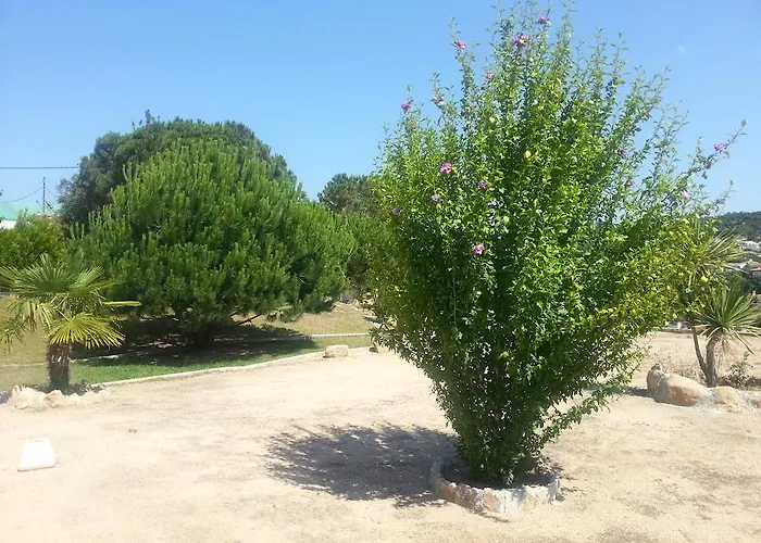 Pinares Льорет-де-Мар